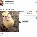 Ducky quack quack
