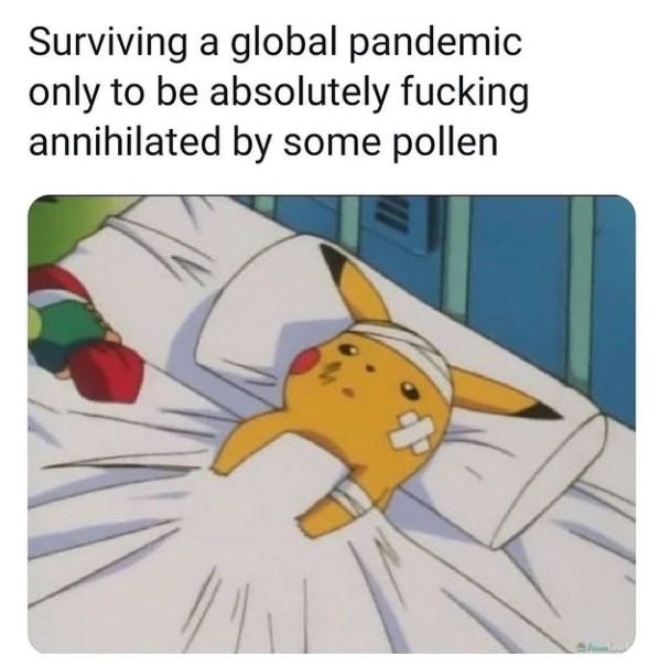 immune to coronavirus but annihilated by pollen - meme