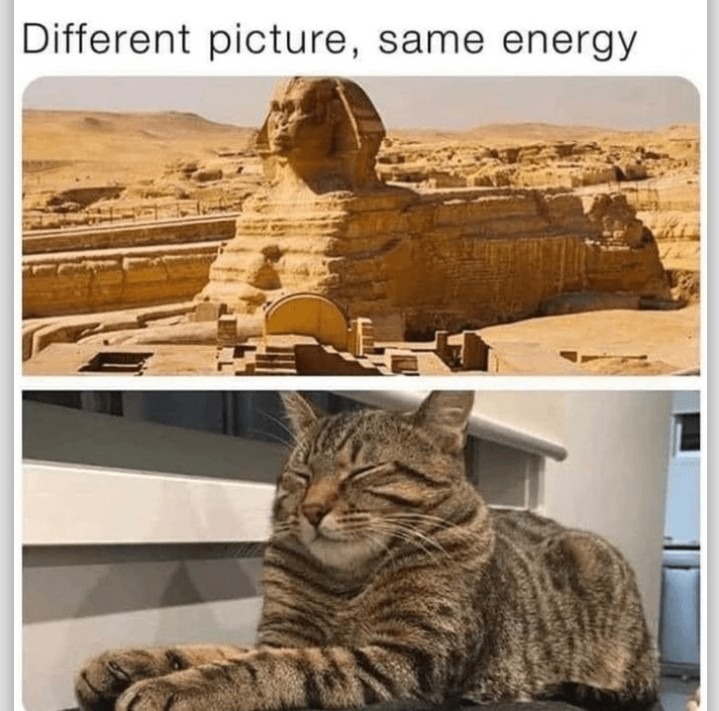 Energie - meme