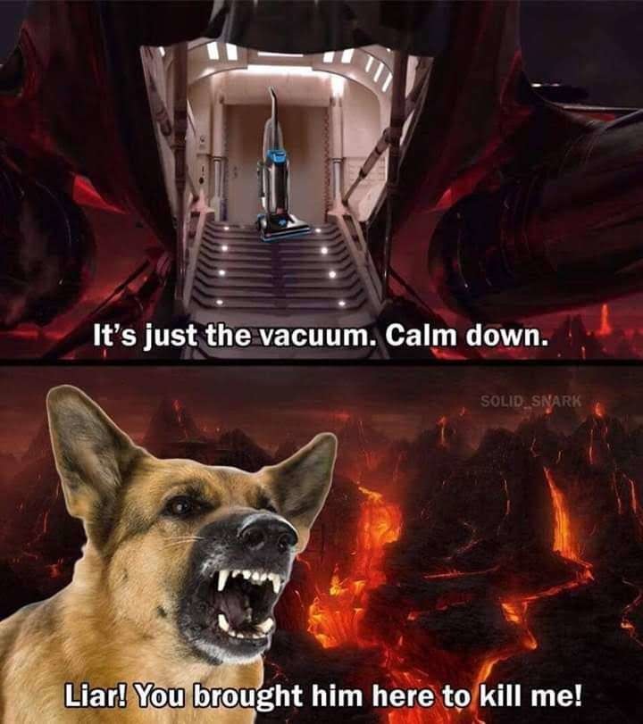 Vacuum horror - meme