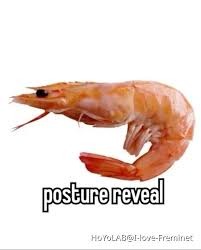 Posture reveal - meme
