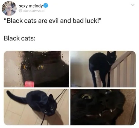 Black cats are cool - meme