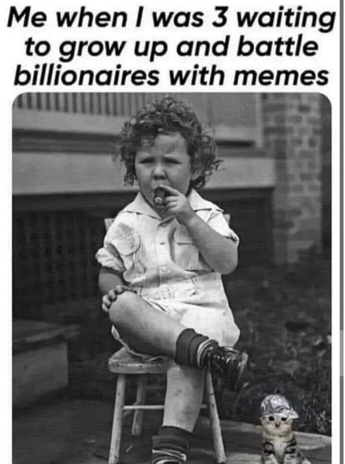 Based - meme