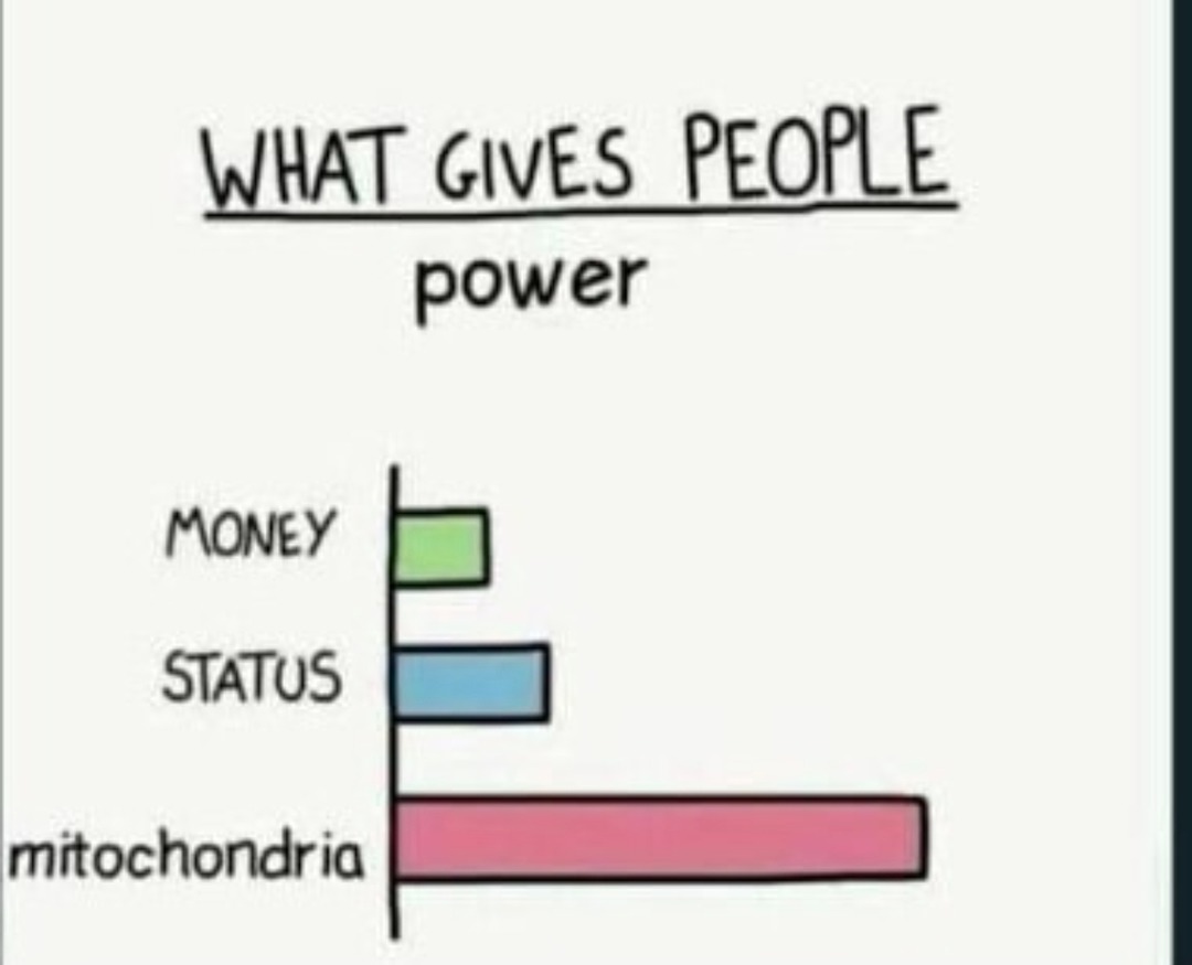 What gives people power? Money. Status. Mitochondria - meme