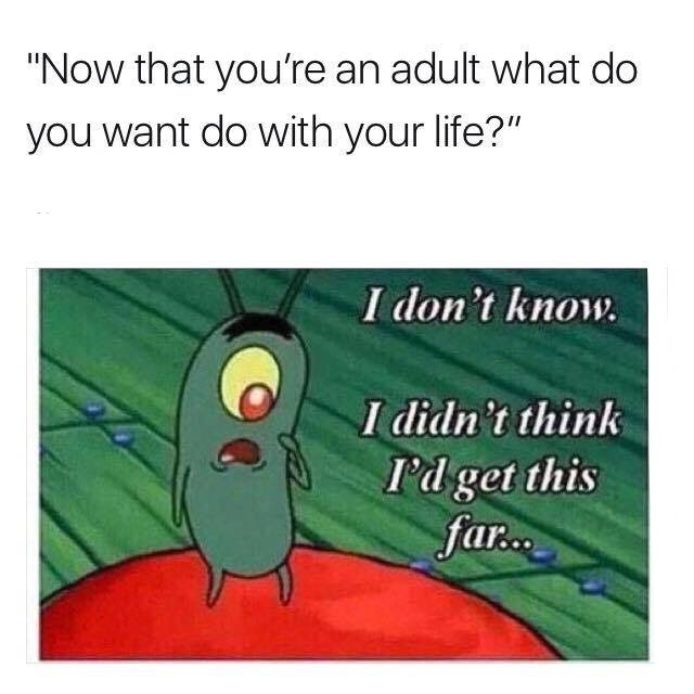 Now that I'm an adult... I got no plan bro - meme
