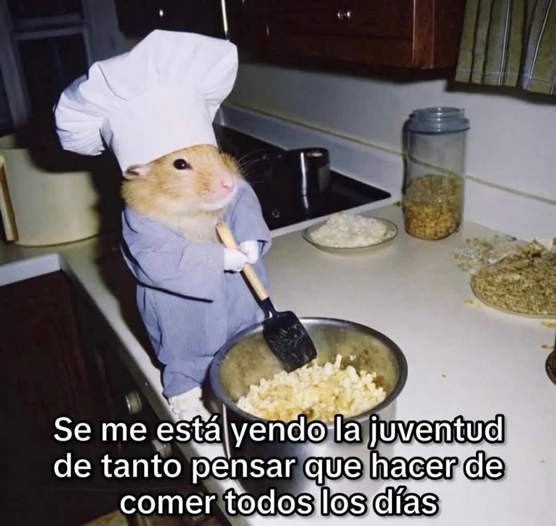 Se me va la juventud pensando qué comer diario - meme