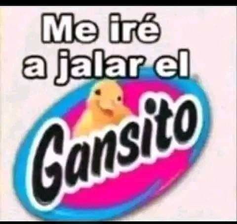 tu primo xd - meme