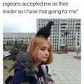 pigeons are dicks