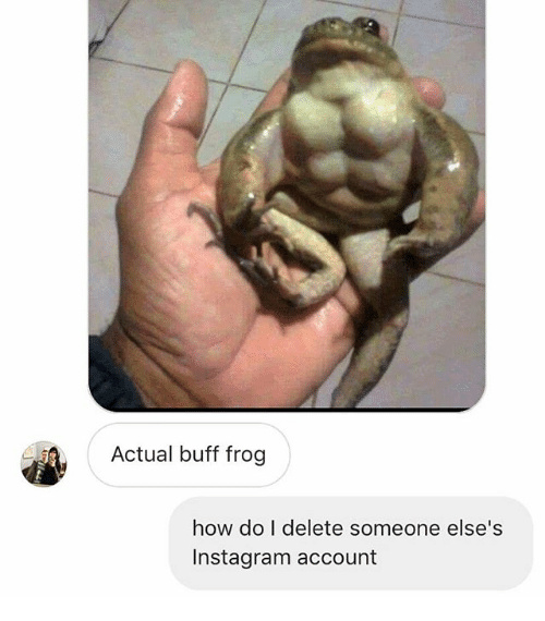 Buff frog - meme