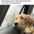 How's the good boy?