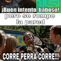 Corre forest!