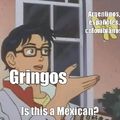 Gringos aprendan que no todos somos mexicanos