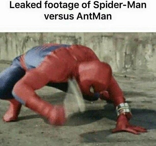 Spiderman trying to beat up ant man be like - meme