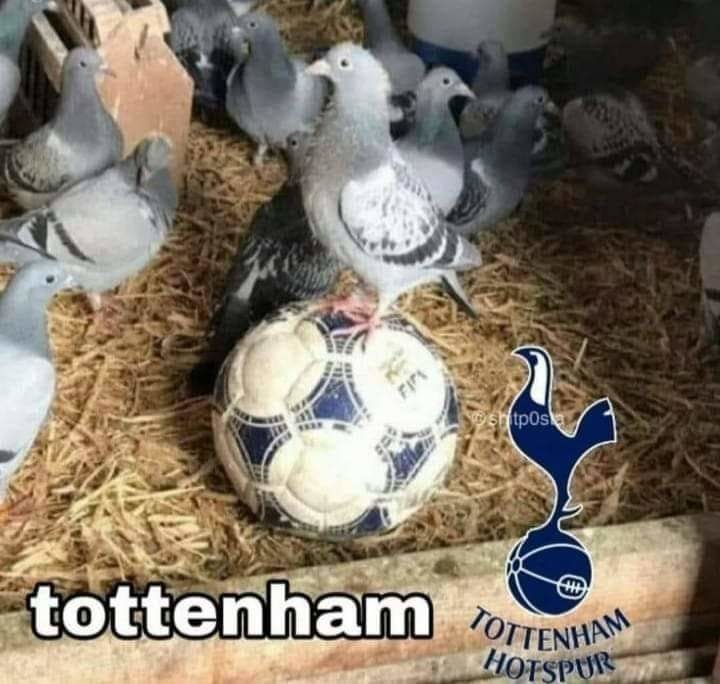 Tottenham (pecho frios) - meme