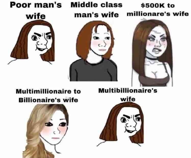 I’ll take the middle class wife - meme