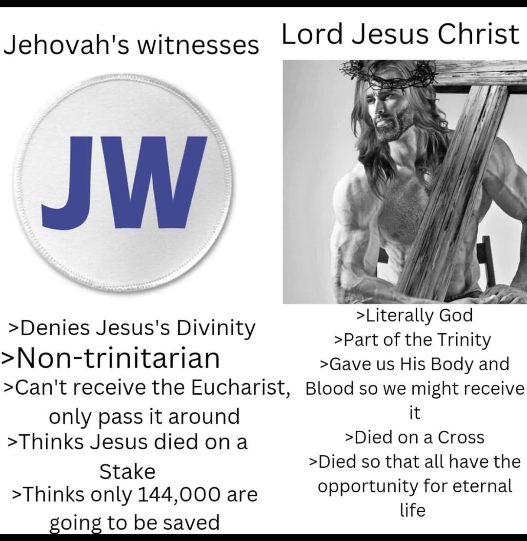 If you’re a JW you shouldn’t be reading this. - meme