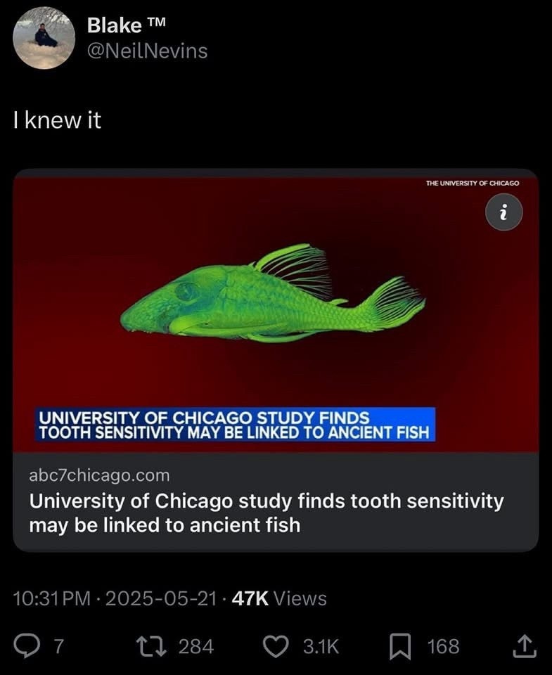Tooth pain? Thank a fish from 400 million years ago - meme