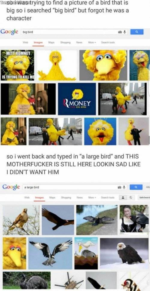 Big Bird is disappointed of you - meme