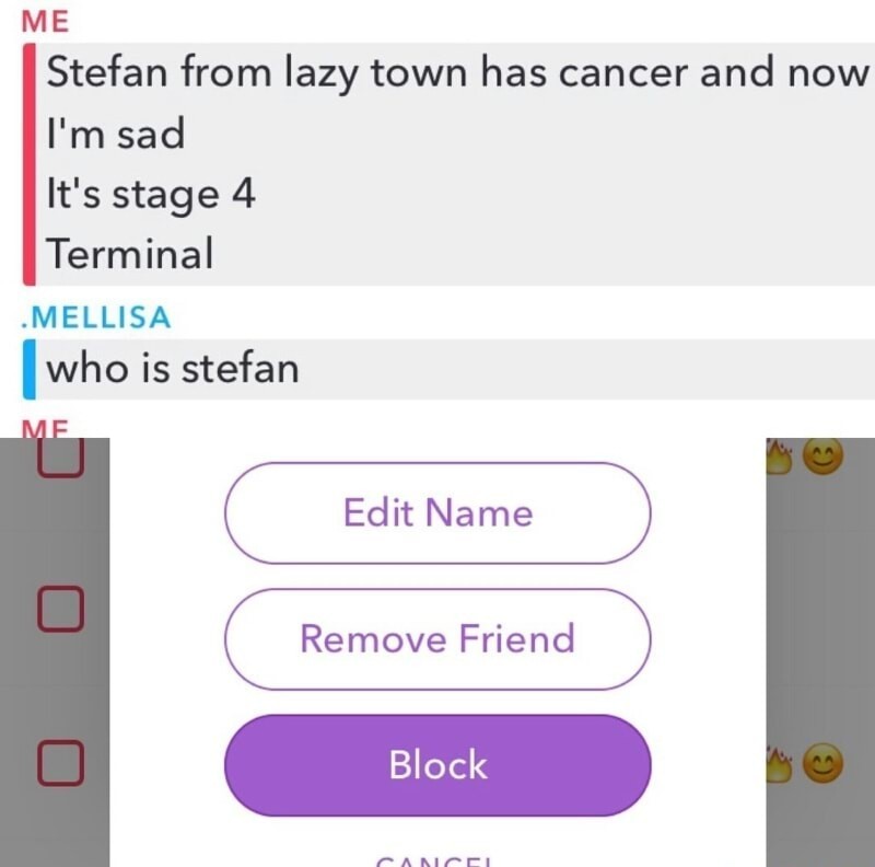 Who iz zis Stefan? - meme