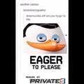 Smoke pot once and now there is a fuck load of penguins of the Madagascar memes