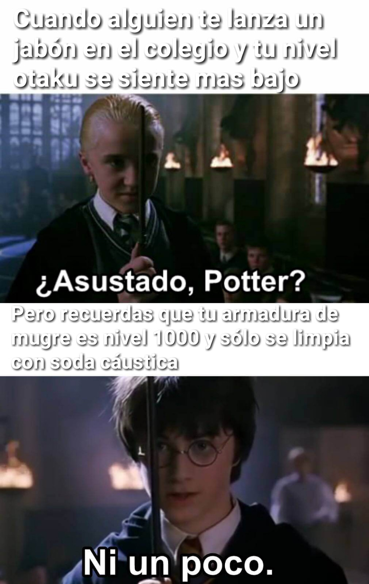 El TOP en español de memes sobre Harry Potter está en Memedroid