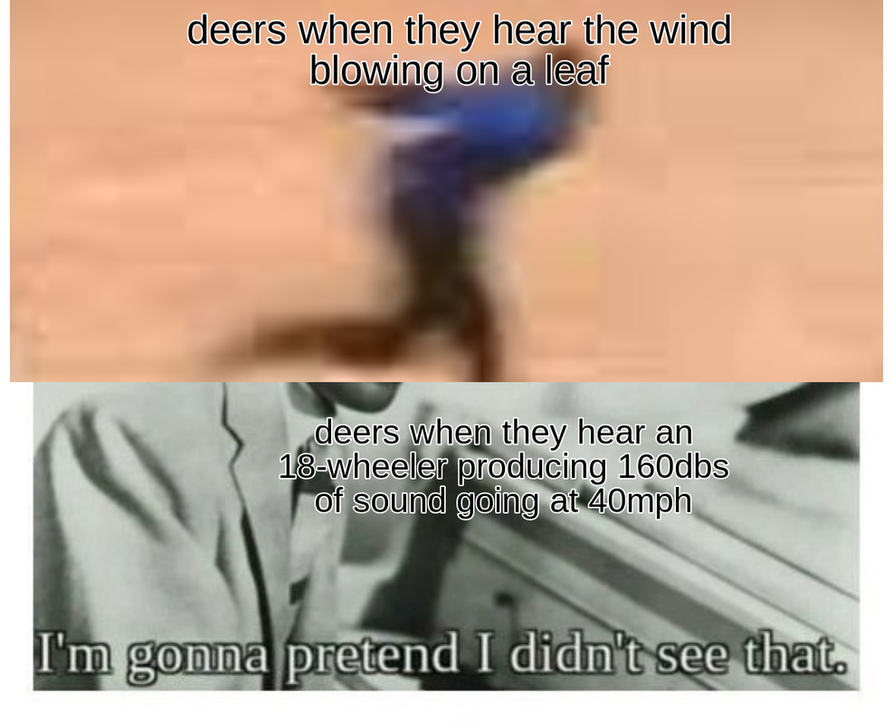 dead deers - meme