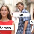 memes are life