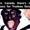 Trudeau face