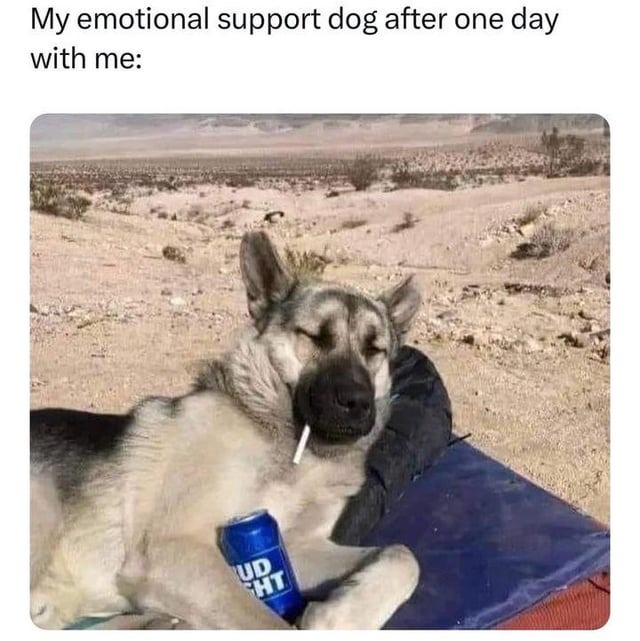 Emotional support dog - meme