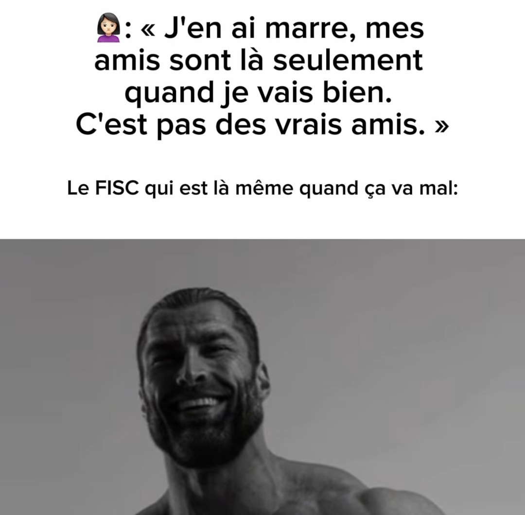 mes potes m'abandonnent sauf le fisc qui reste fidèle dans la galère - meme