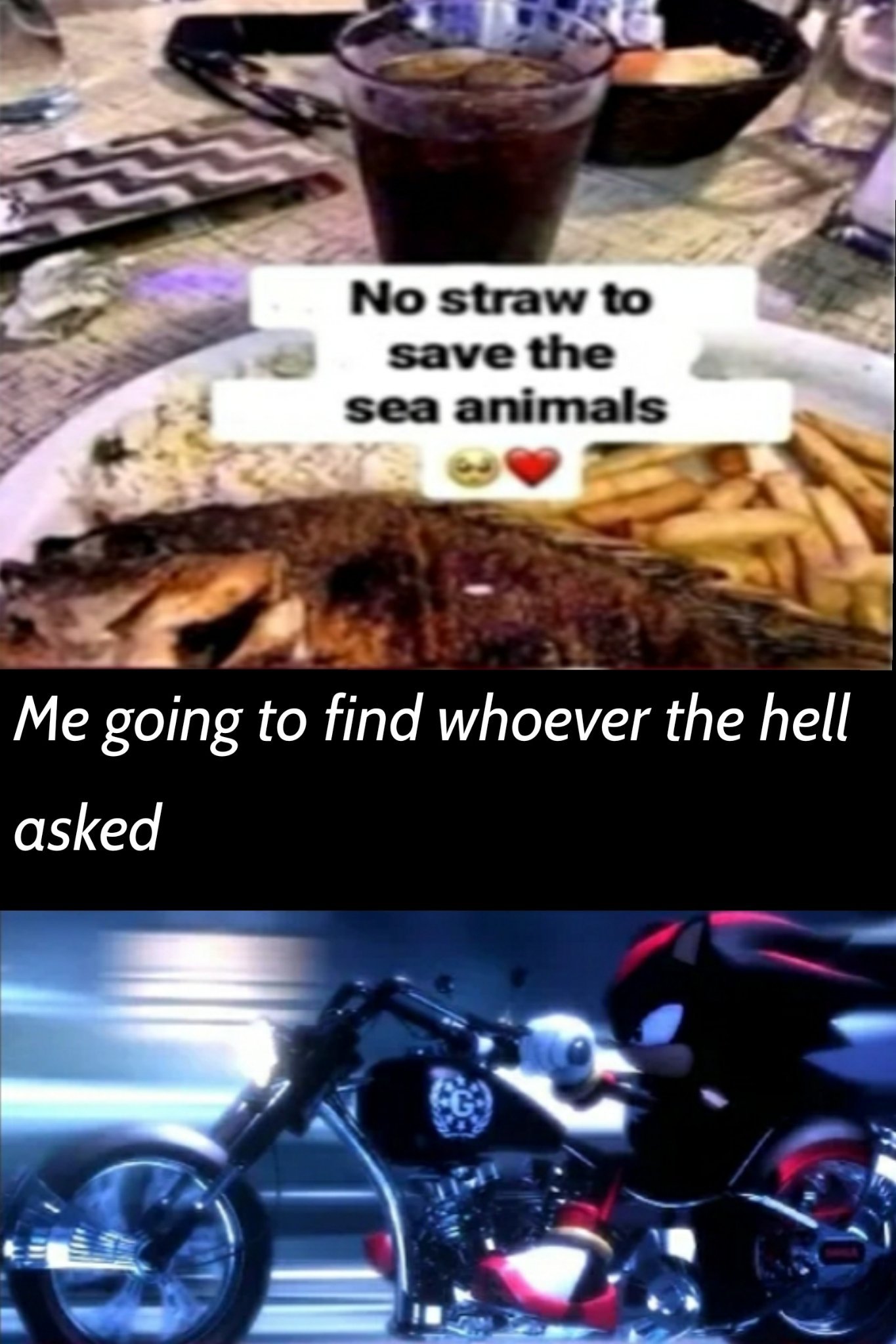 Shadow says nobody asked if you're using a straw or not - meme
