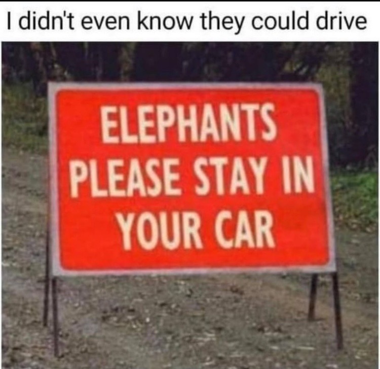 elephants in cars - meme