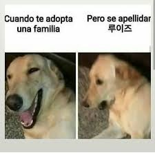 no se que subir - meme