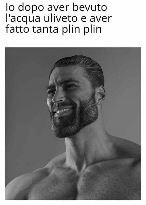 Non ho mai bevuto l'acqua uliveto - meme