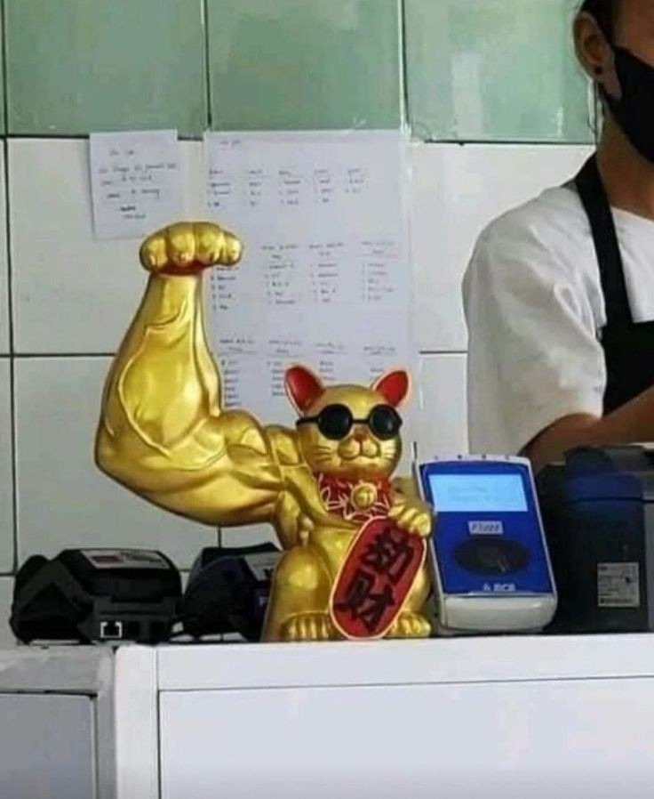 Por qué coño hay un ipod a lado del gato ese? - meme