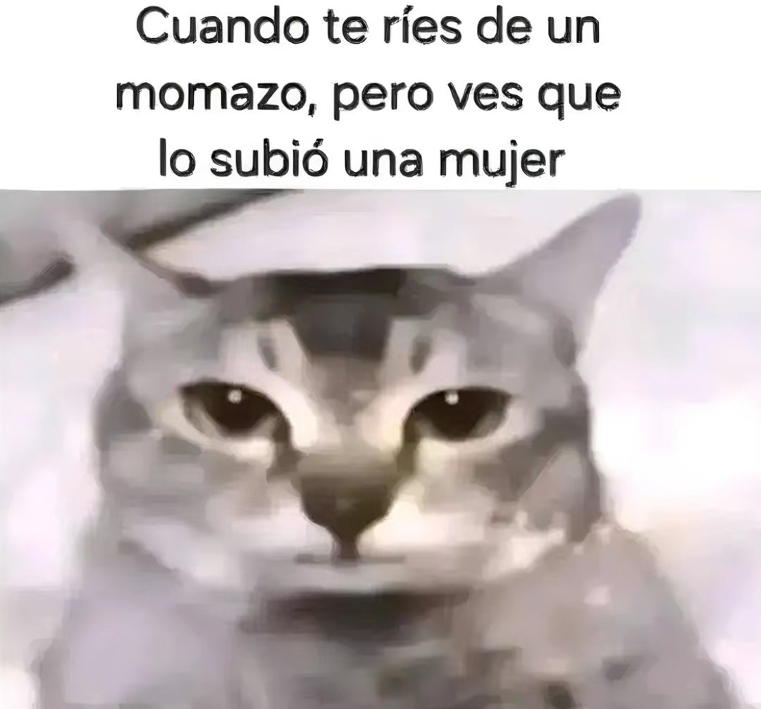Ahi viene el de "memierda de gatos" - meme