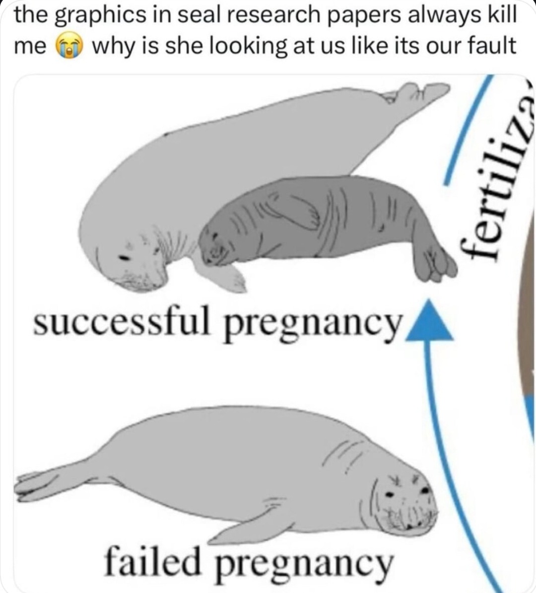 Seal research graphs got seals looking at us with judgment - meme