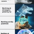 Evolution of dog brain