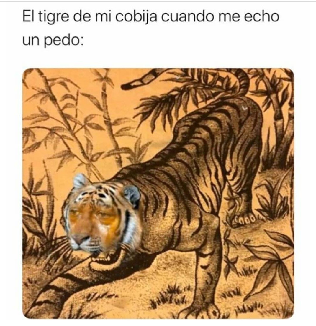 Tigre - meme
