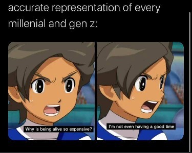 Gen Z and Millennials - meme