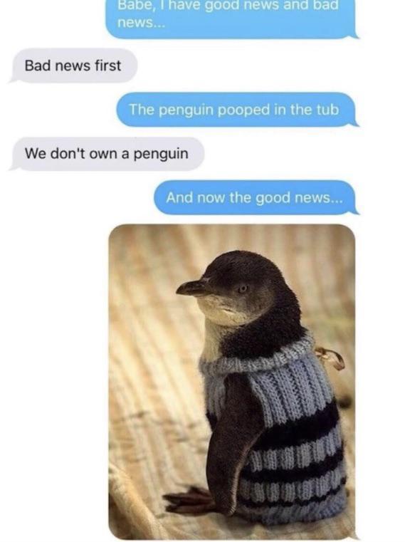 We don't own a penguin - meme