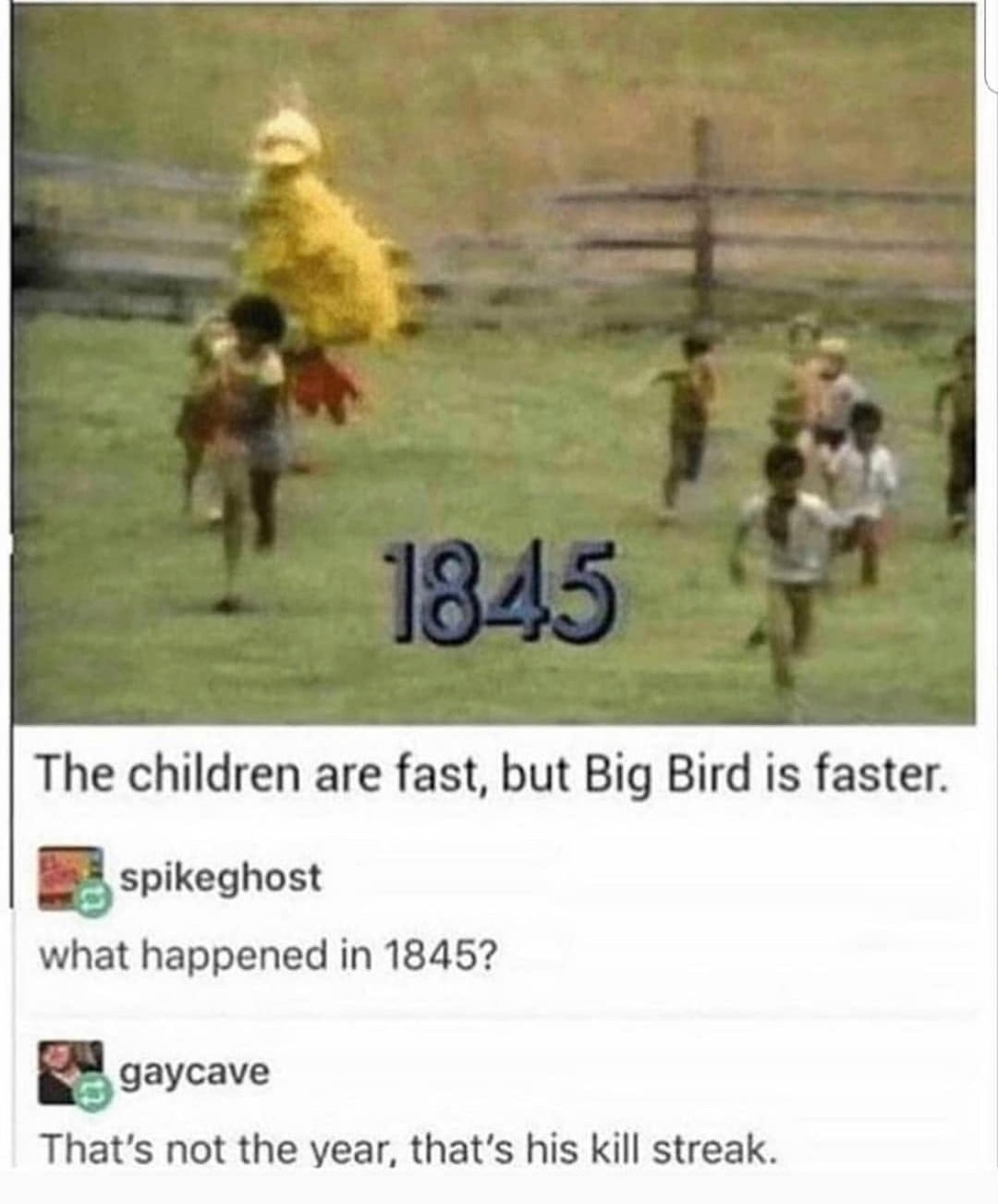Big Bird is behind u - meme