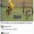 Big Bird is behind u