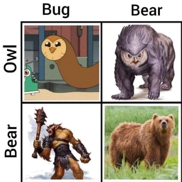 Know your bears and owls - meme