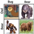 Know your bears and owls