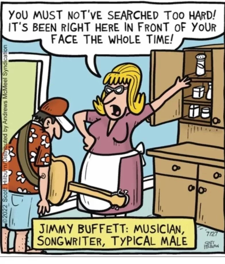 Jimmy Buffet's hard life - meme