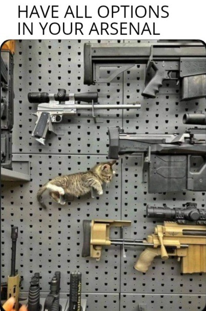 Kitten Laser Gun - meme