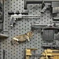Kitten Laser Gun