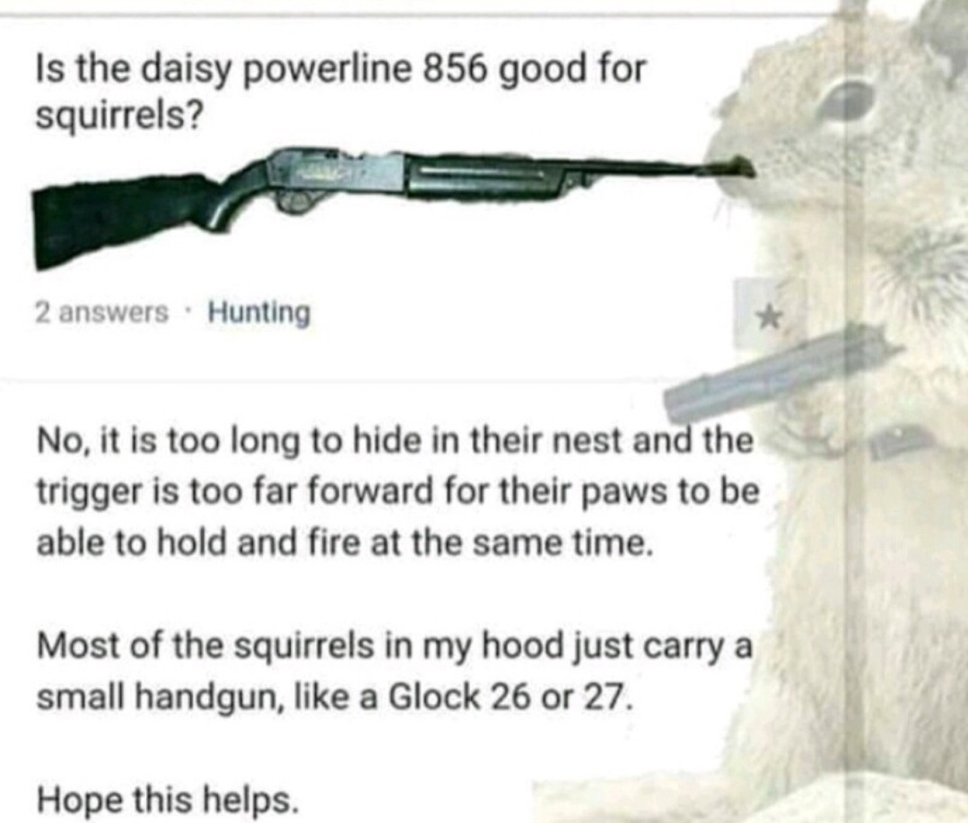 I better watch out for dem squirrels *loads a ntw-20 anti tank rifle* - meme