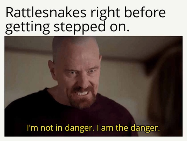 Rattlesnakes - meme